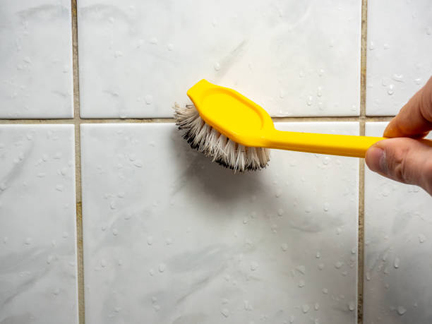 Best Black Mold Removal  in St Albans, VT
